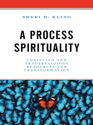 cover image of A Process Spirituality